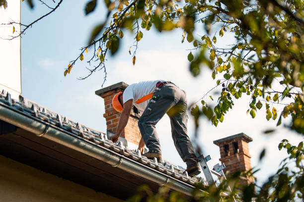 Best Storm Damage Roof Repair  in Lake Lure, NC