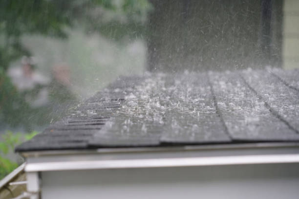 Best Roof Maintenance and Cleaning  in Lake Lure, NC